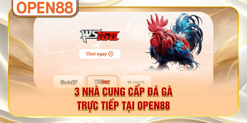 3 nhà cung cấp đá gà trực tiếp tại OPEN88