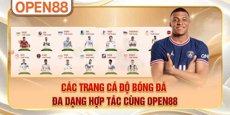 Các trang cá độ bóng đá đa dạng hợp tác cùng OPEN88