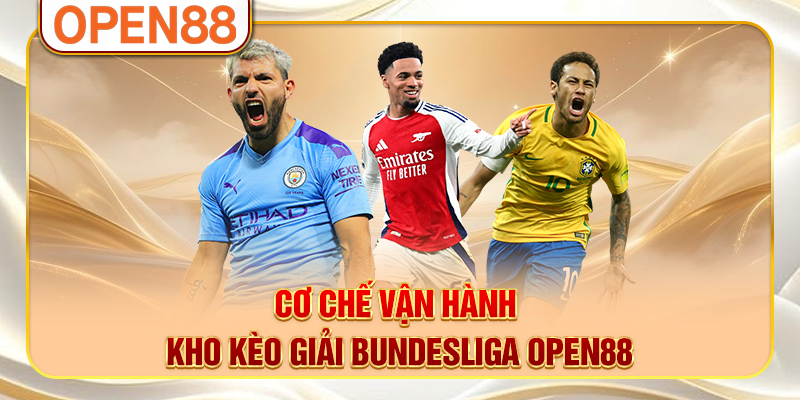 Cơ chế vận hành kho kèo giải Bundesliga OPEN88