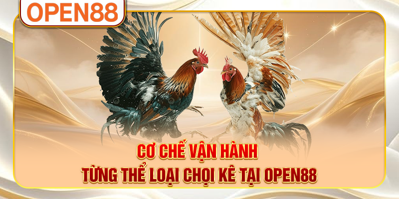 Cơ chế vận hành từng thể loại chọi kê tại OPEN88