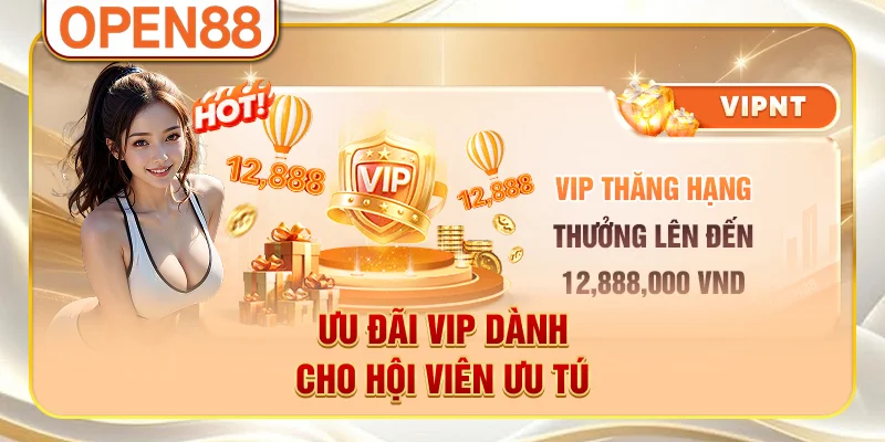 Ưu đãi VIP dành cho hội viên ưu tú